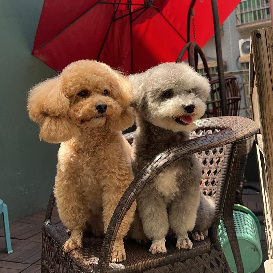 蜡笔小新