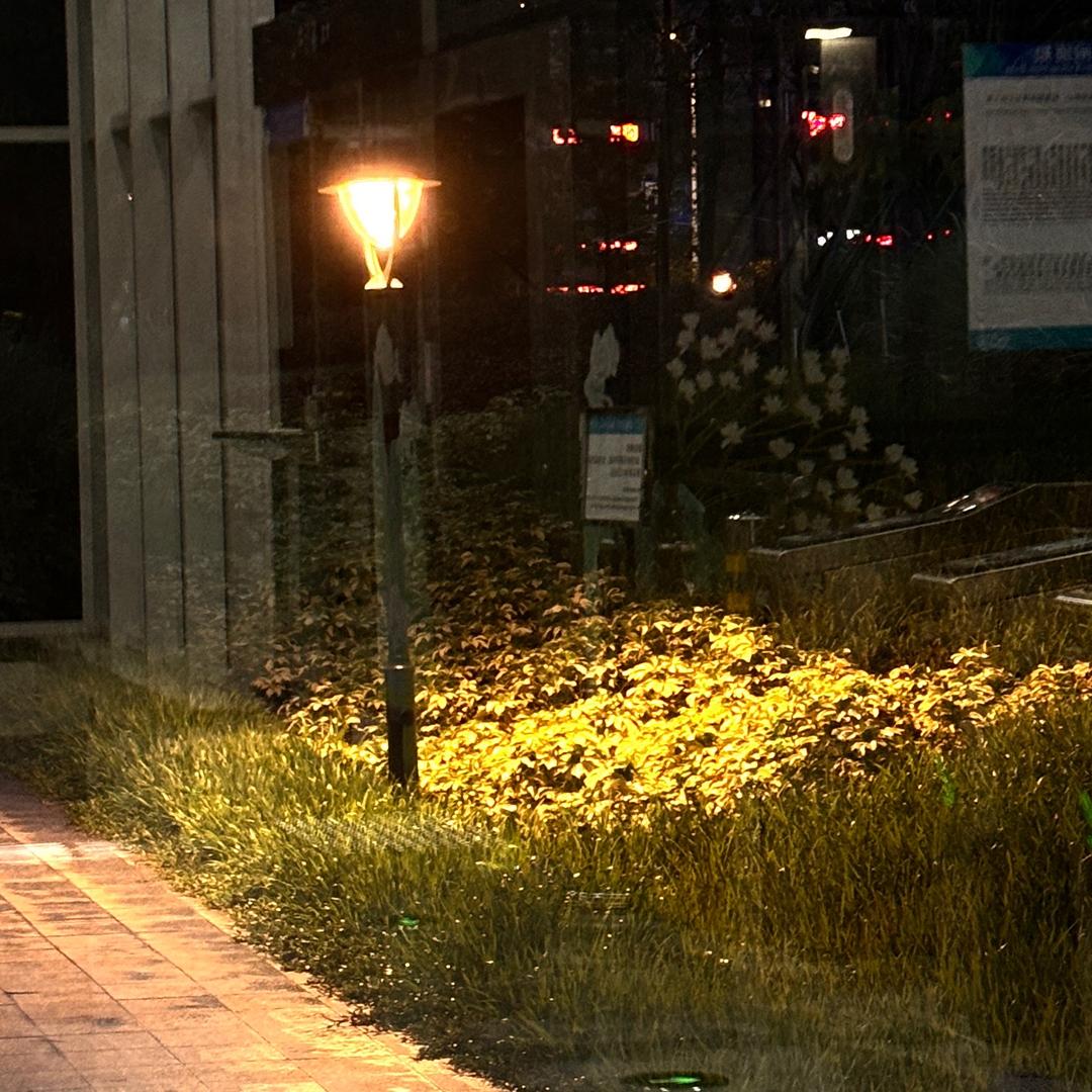 .¥，
