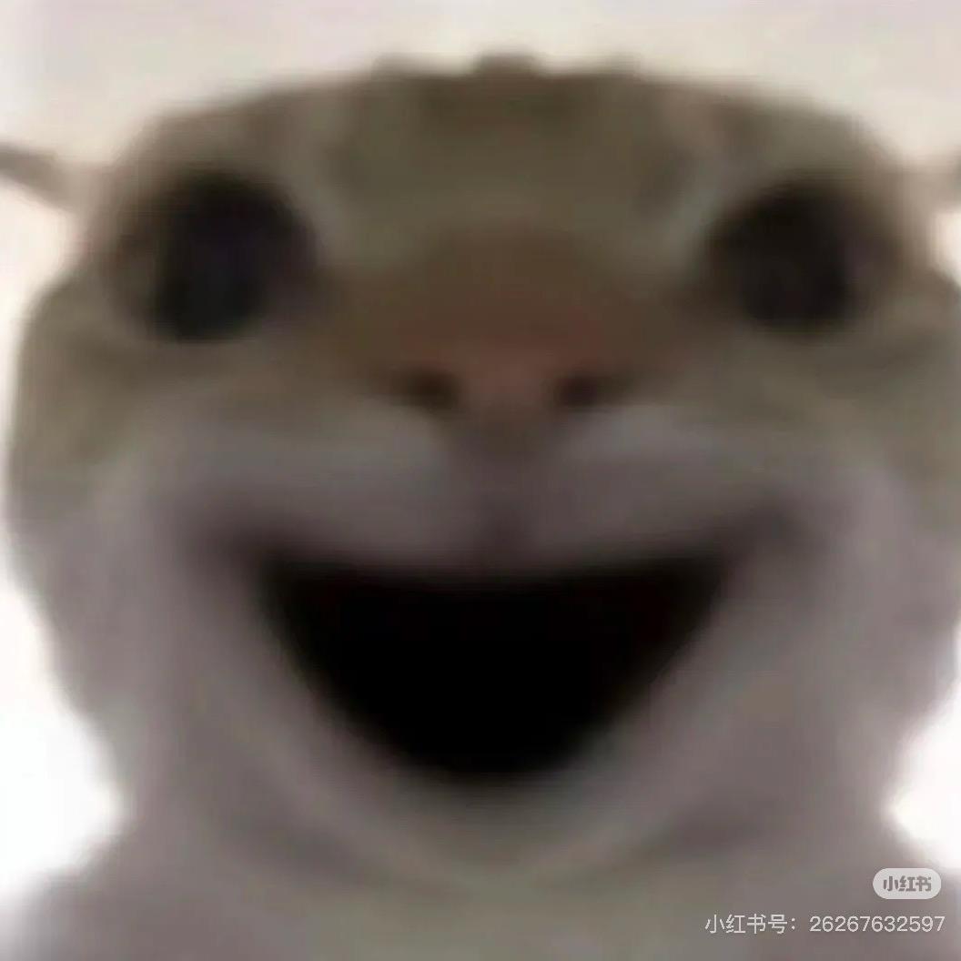 蛋炒饭（三角洲跑刀）