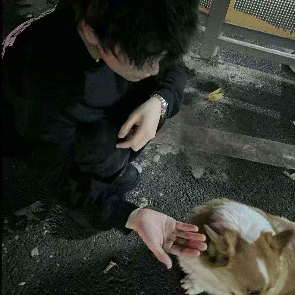 夜夜（和平精英俱乐部 点陪dd）