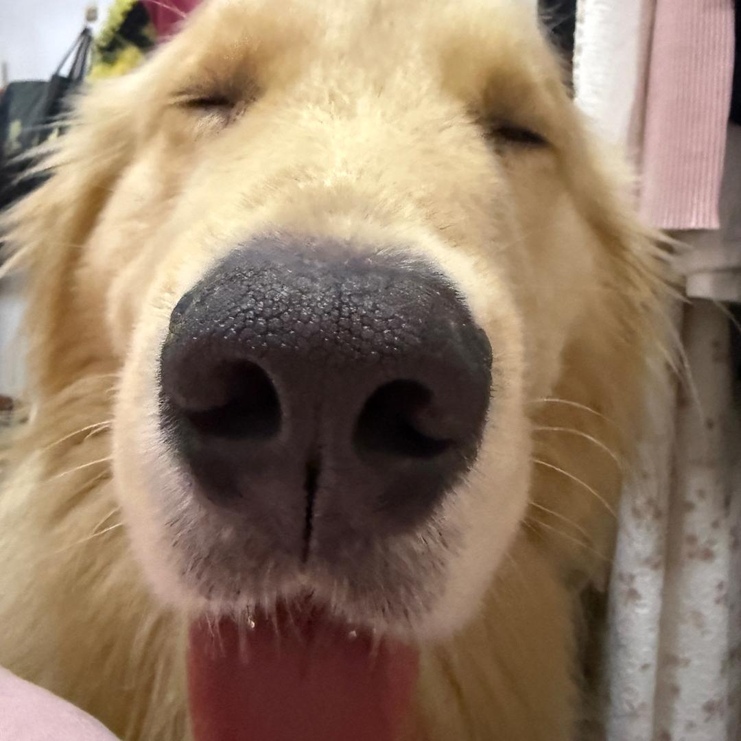 ɔ:夏天