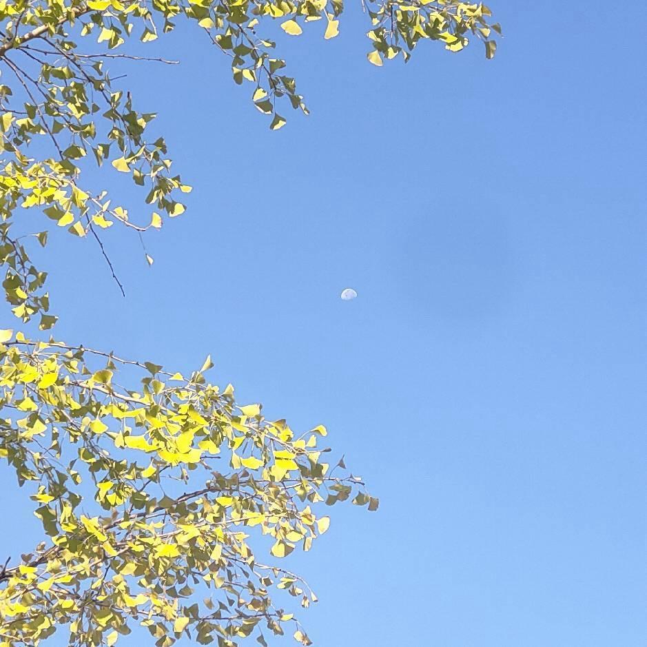 李慢慢