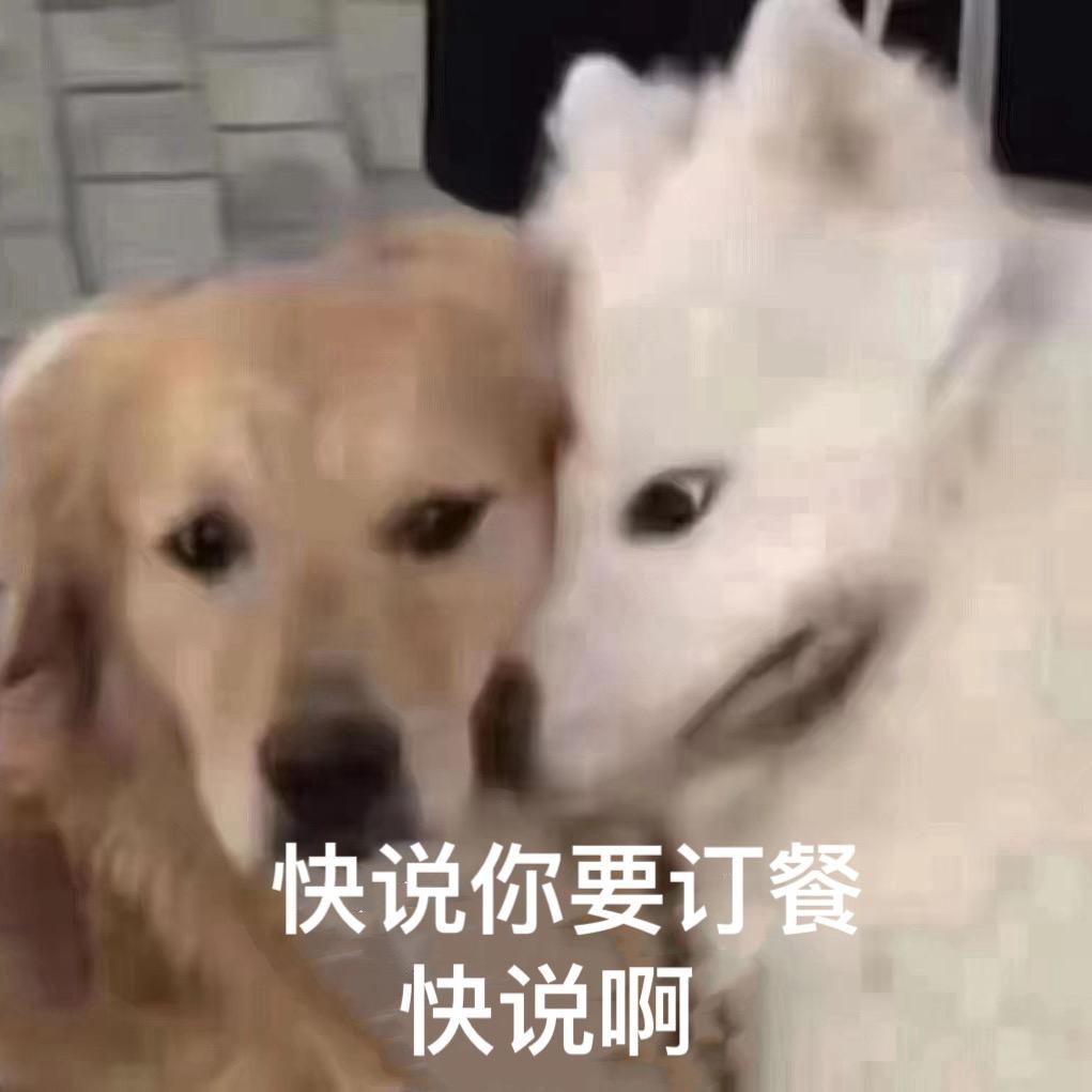 卖羊肉锅的小王同学