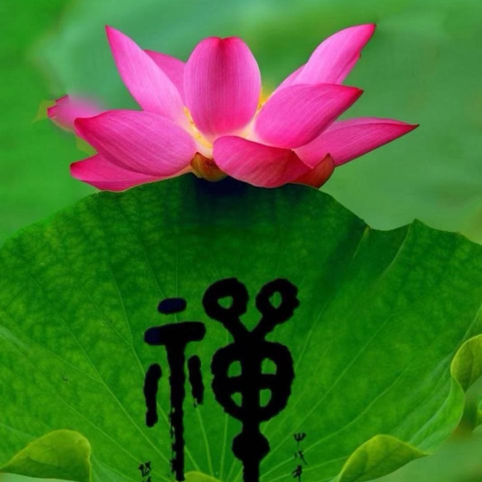 因果不虚
