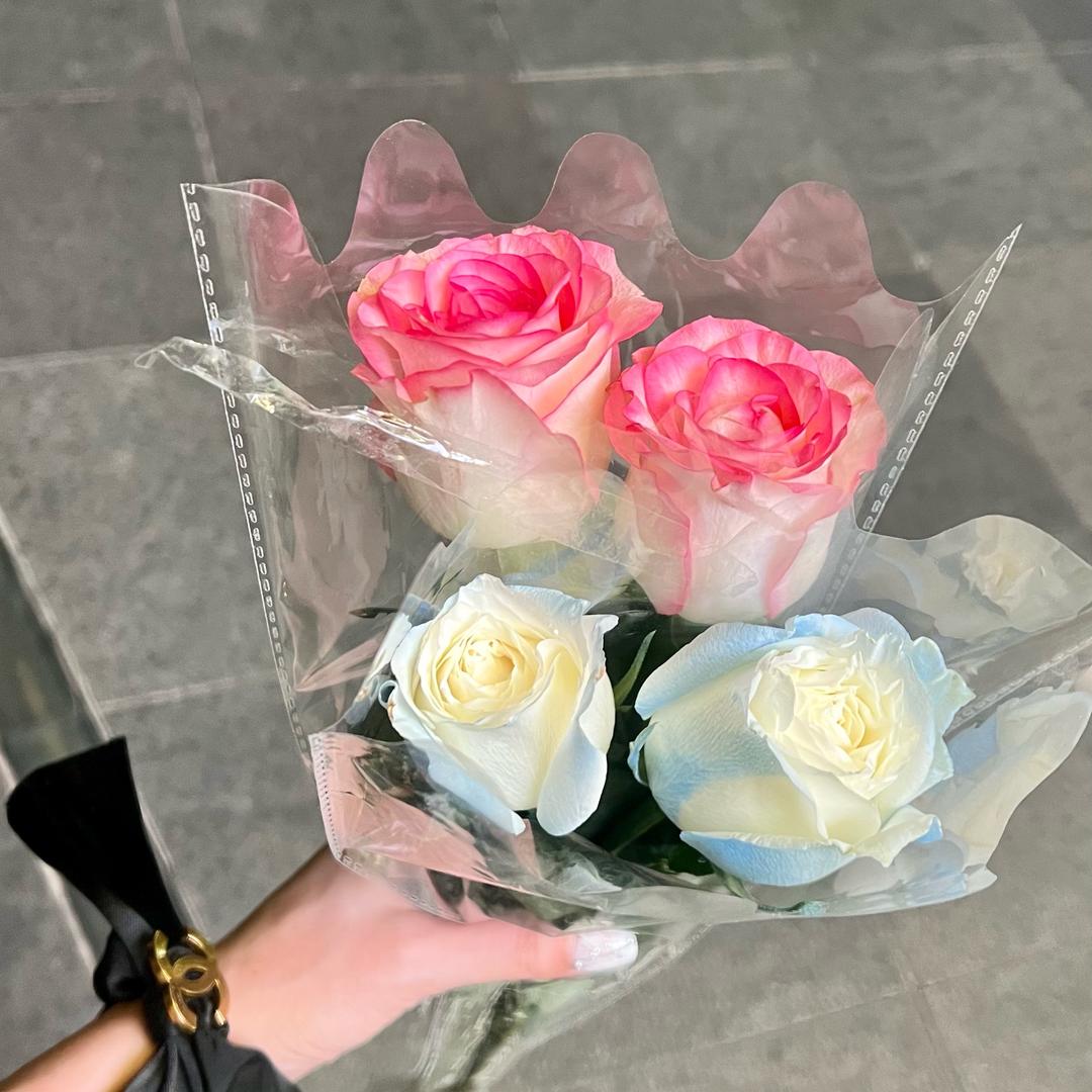 婉儿阿