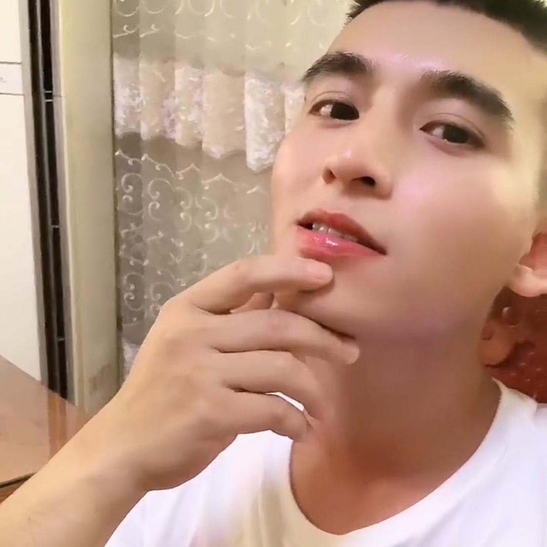 小辉鸽子批发