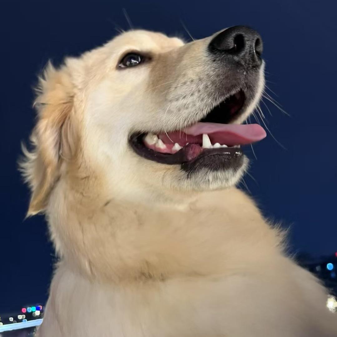 知否