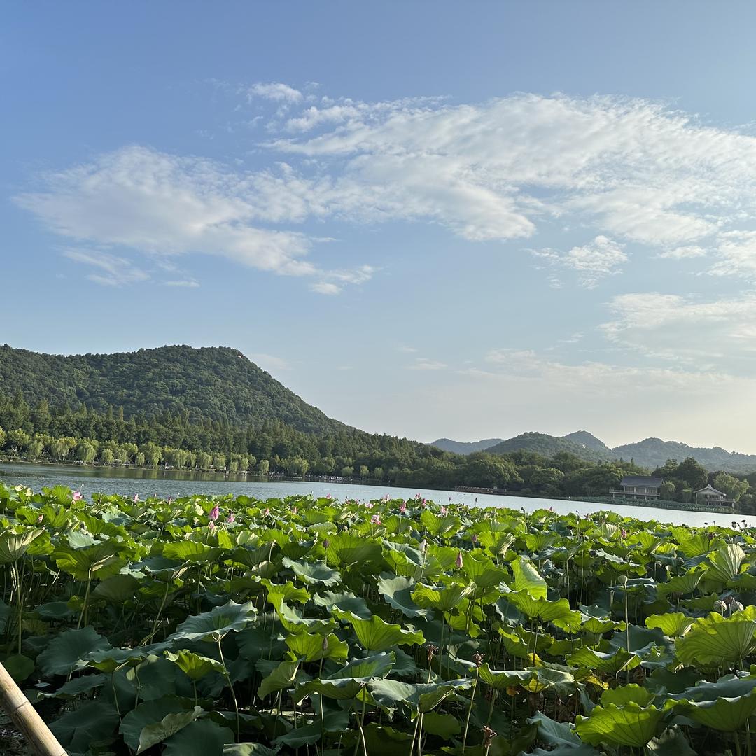 江岭乐陶汇