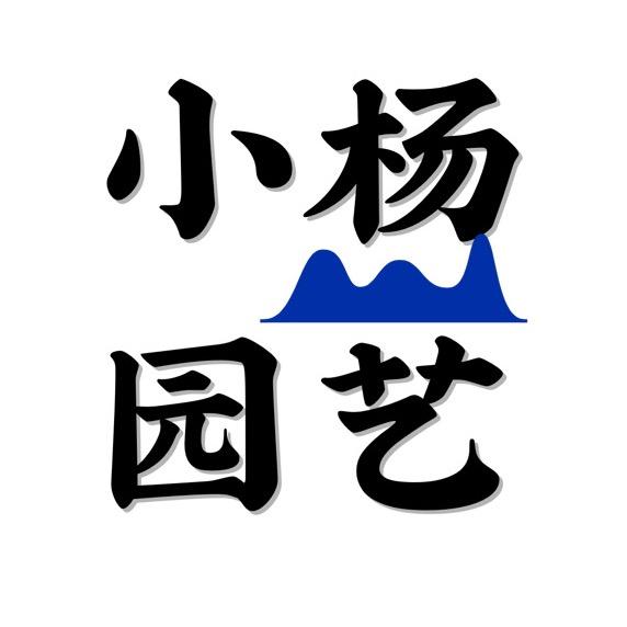 小杨园艺（分享家庭养花）