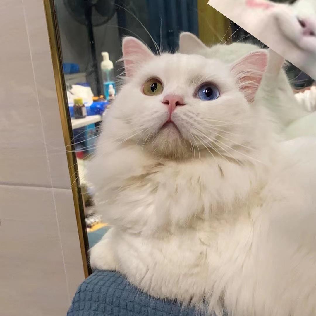 💞ღ᭄小陈ঞ᭄༊🍬