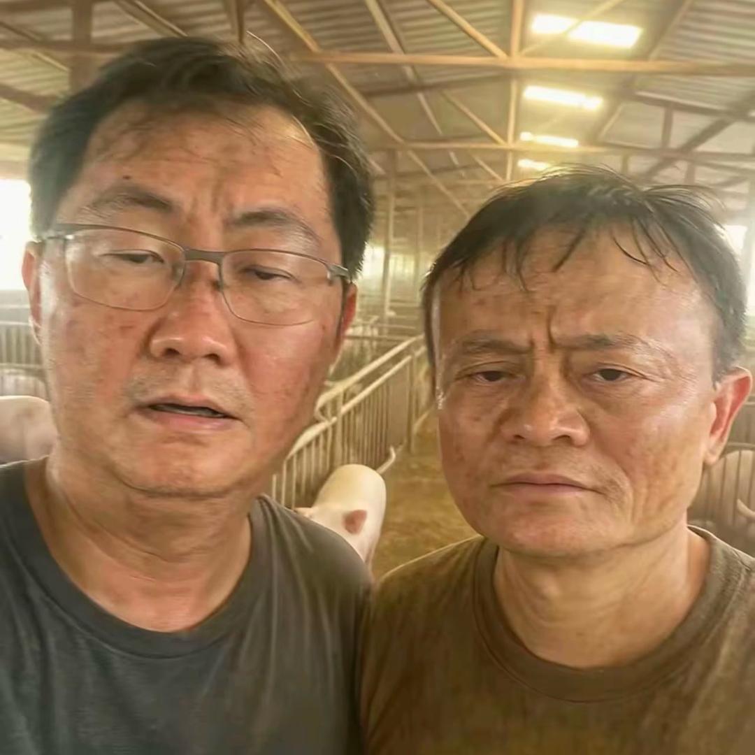 吧吧啦呗啦 小恐龙