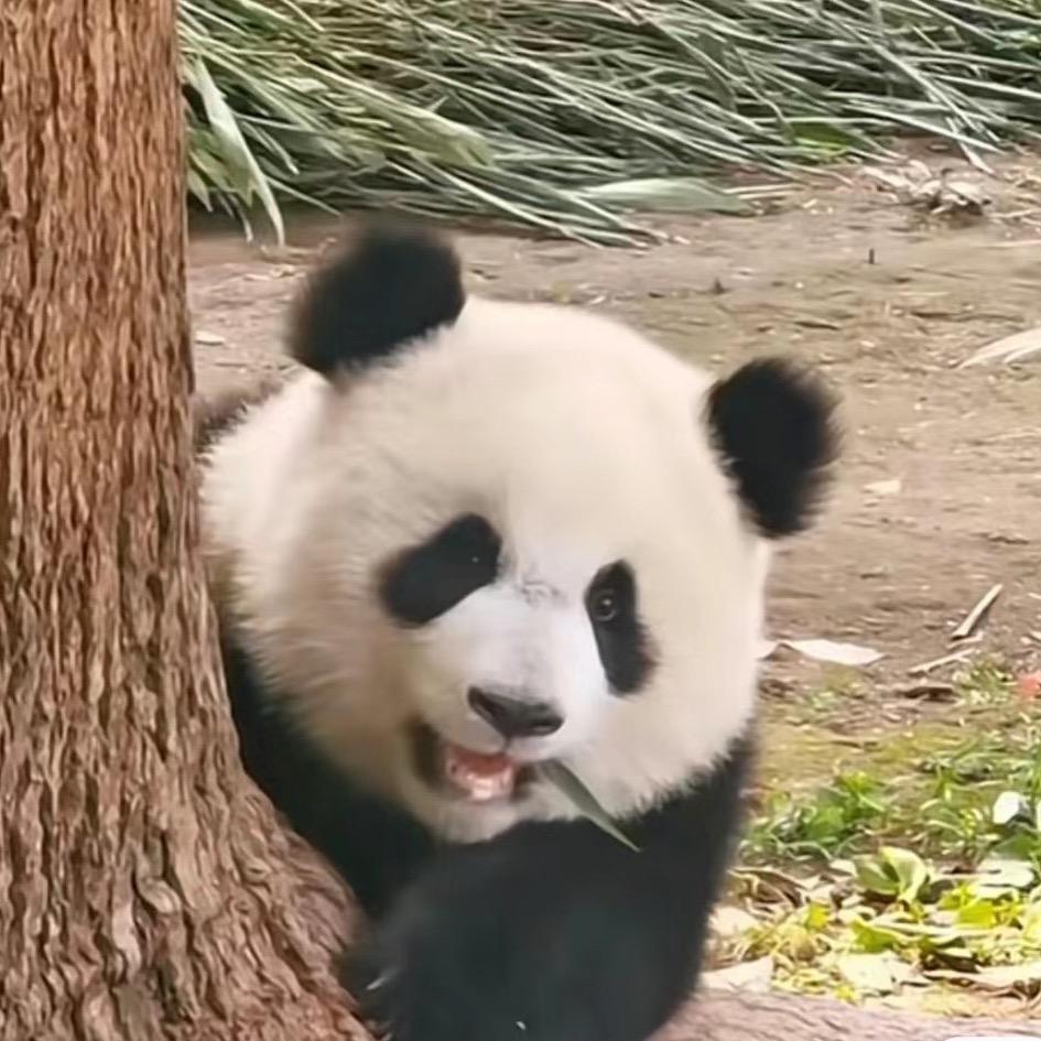 美好且温柔