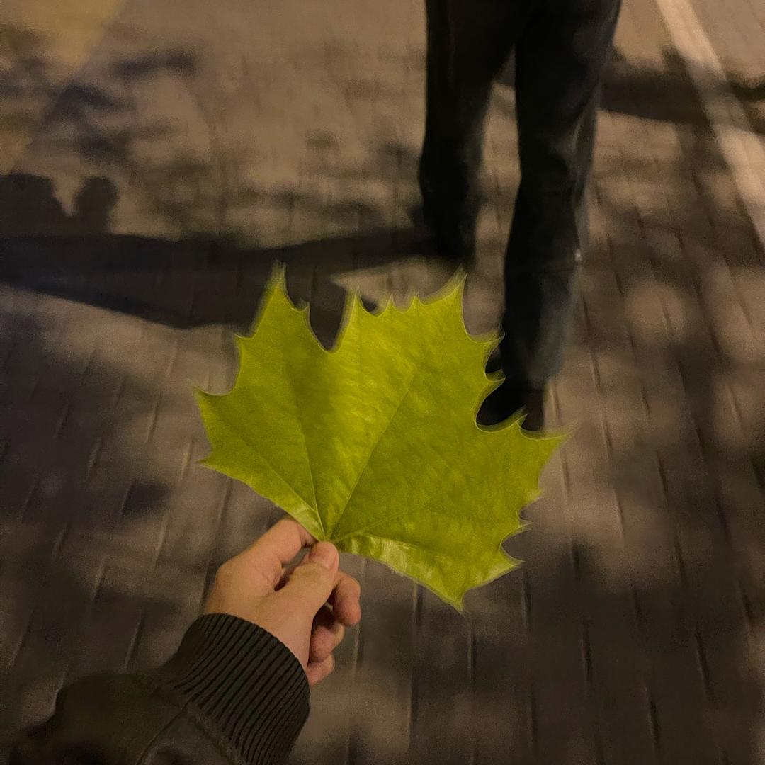 情 _