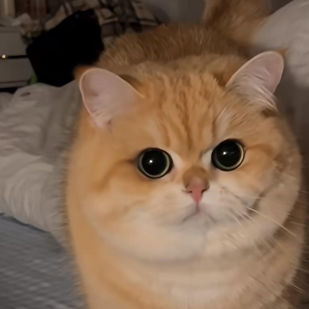 益江蓝