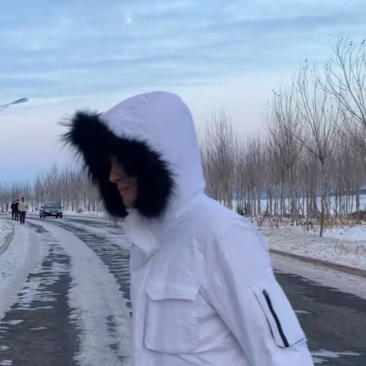 东北雪地代写