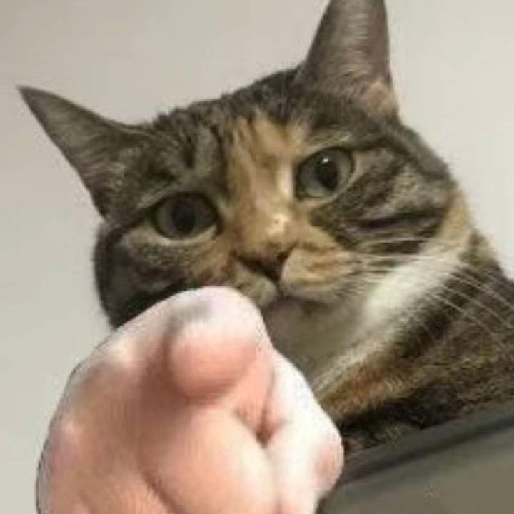 *哦耶