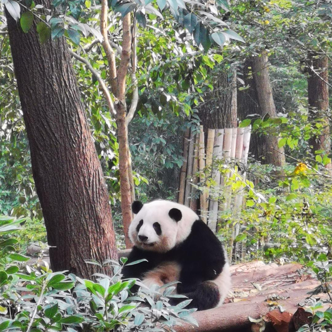 带着简单去旅行