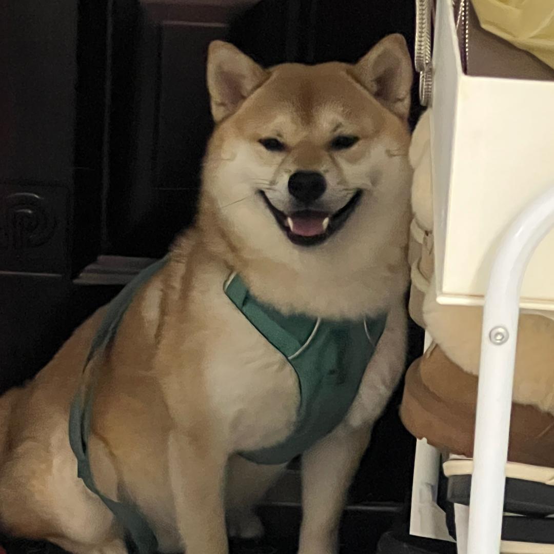 明航教练