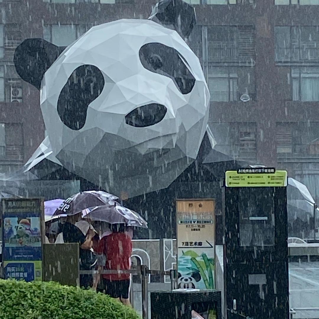 🕊️玫瑰🌹