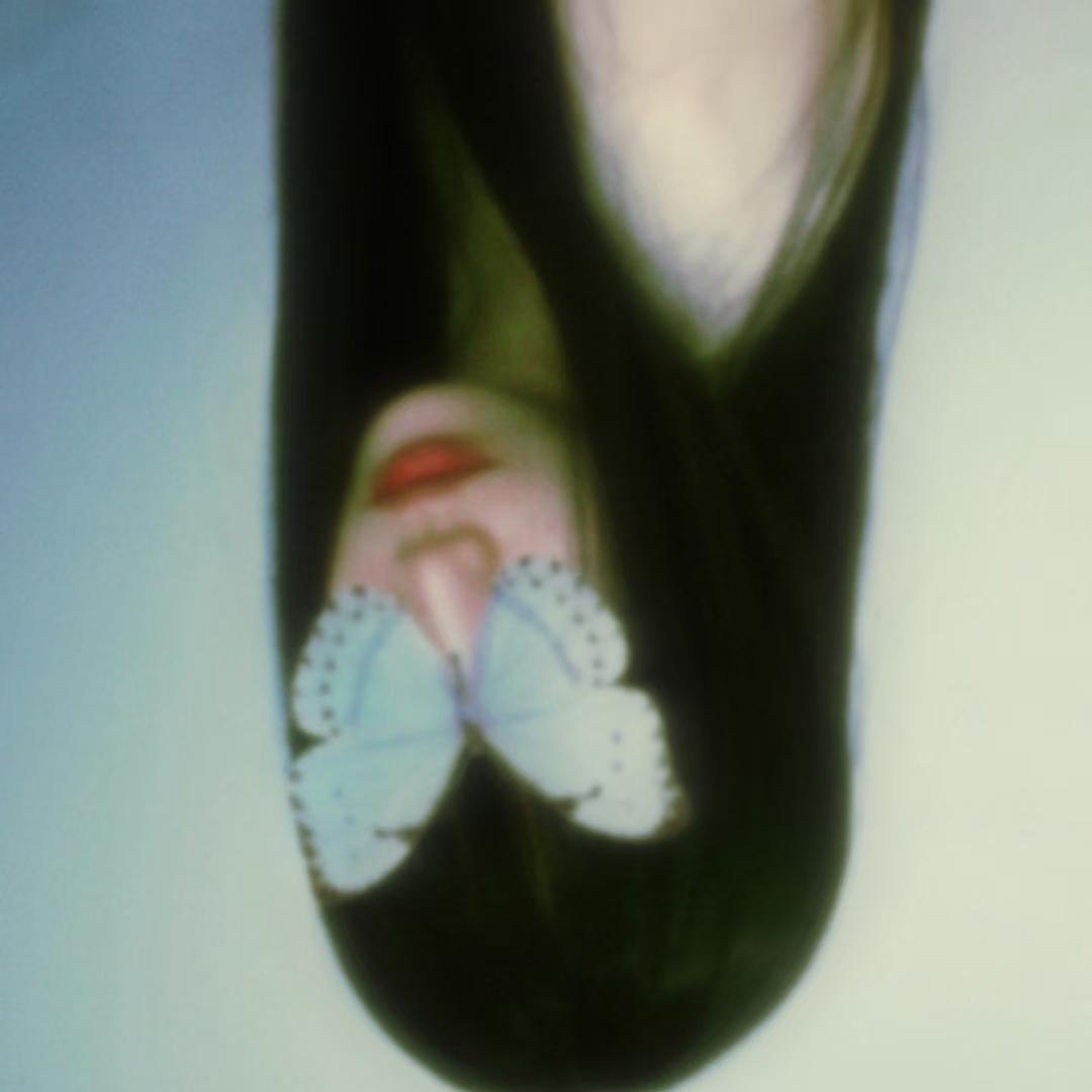 旋转木马