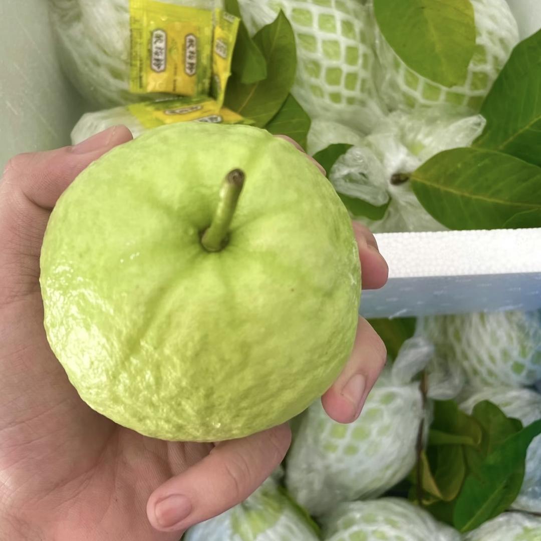 生鲜水果生活坊