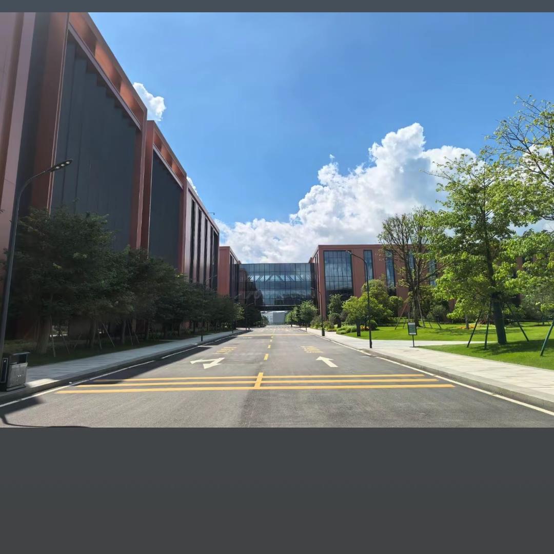 新品发布（青）