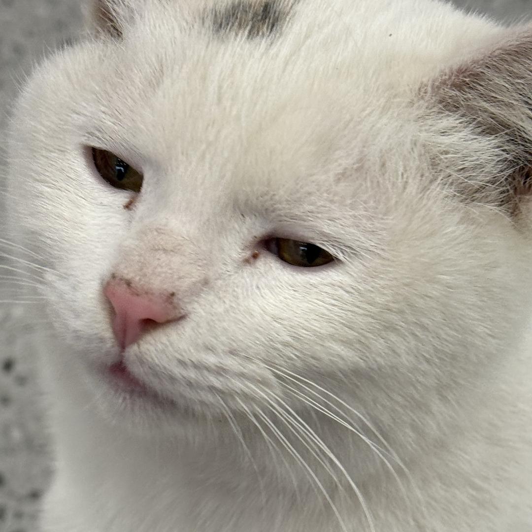 我的日历又不见了