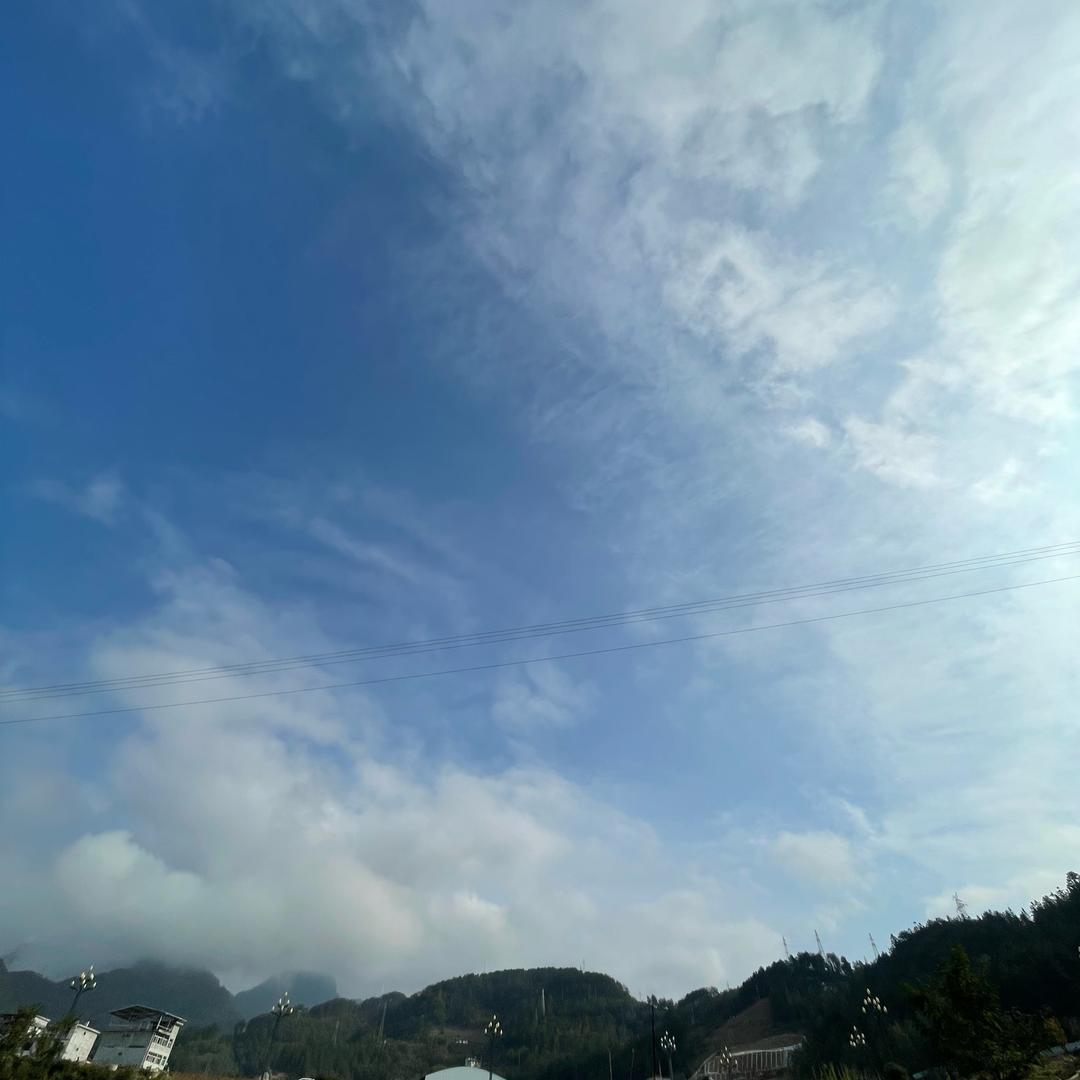 🌿🌿🌿🍁🍁🍁🥶