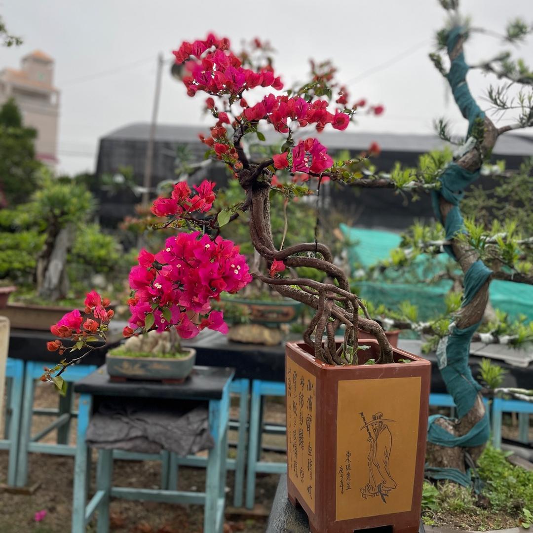 潮画汇