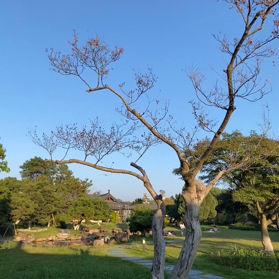 用户7391178936