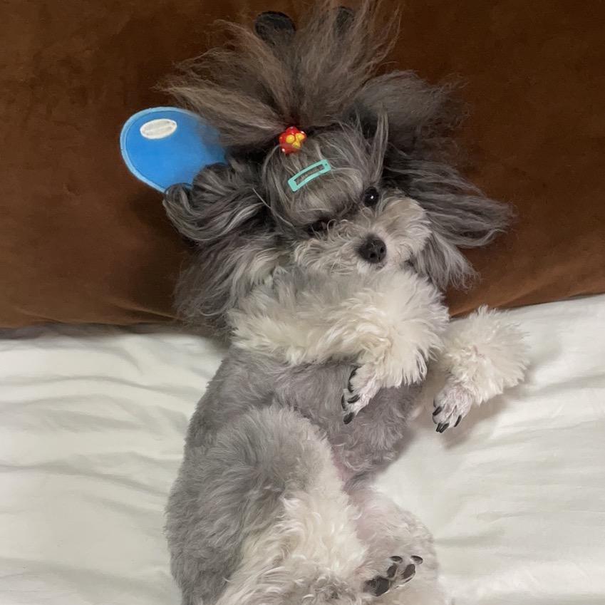 草莓不是草莓🍓……^*^_