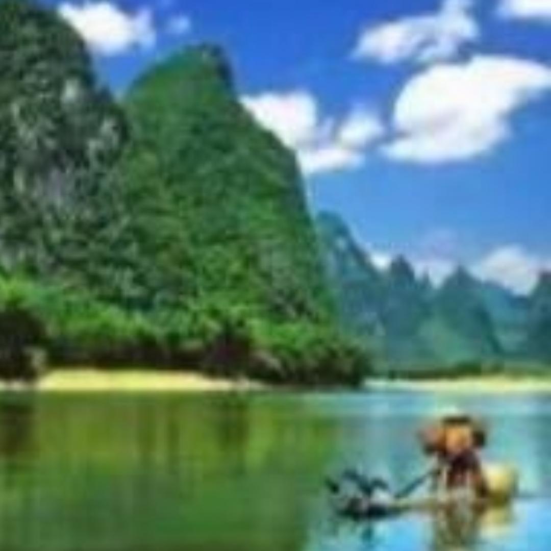 带刺的仙人掌丶