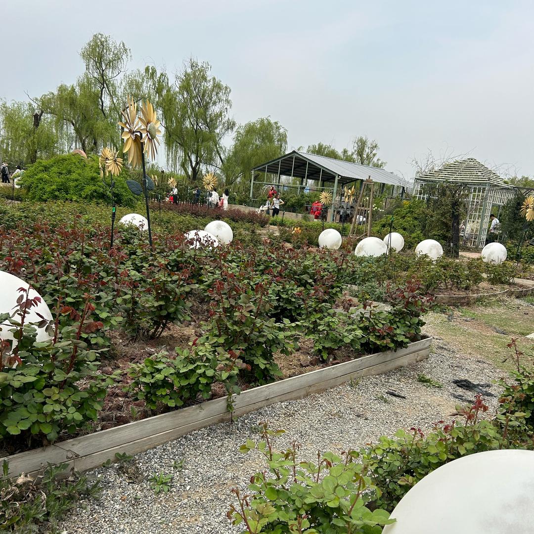 馨宝