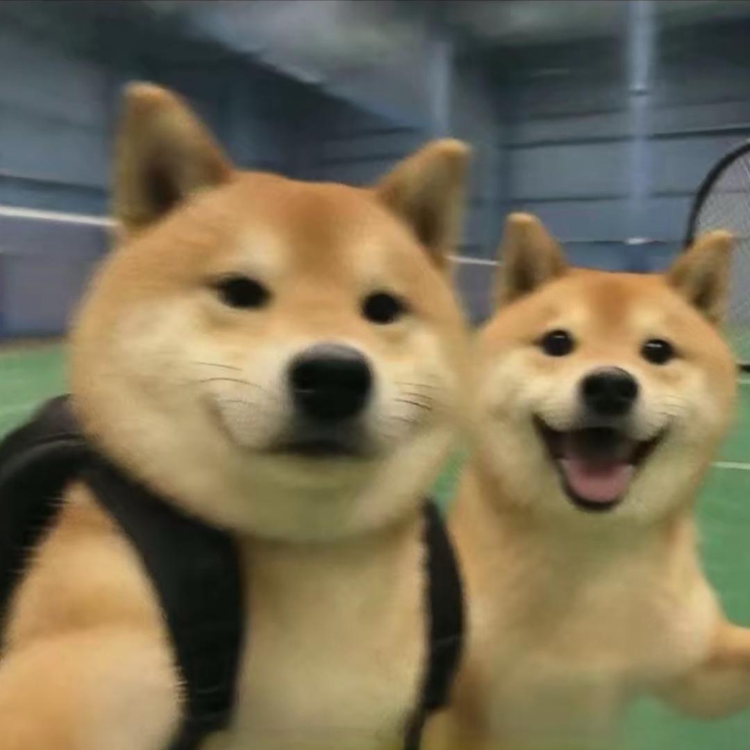 清冬