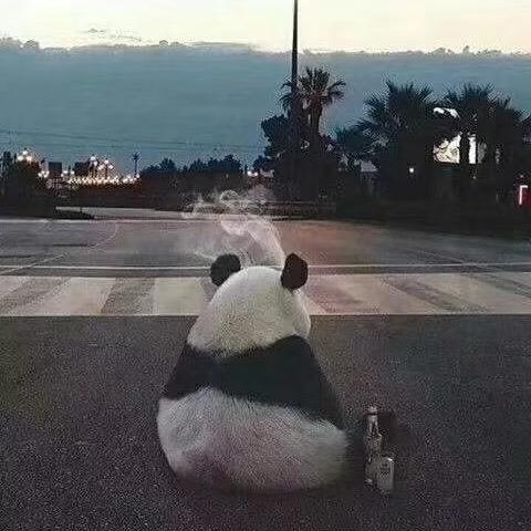 浪漫一生 （Женя во)