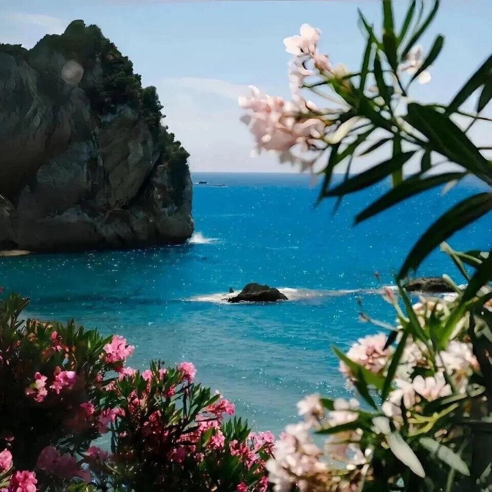晴天❤️