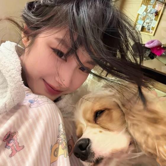 小猫悄悄话.