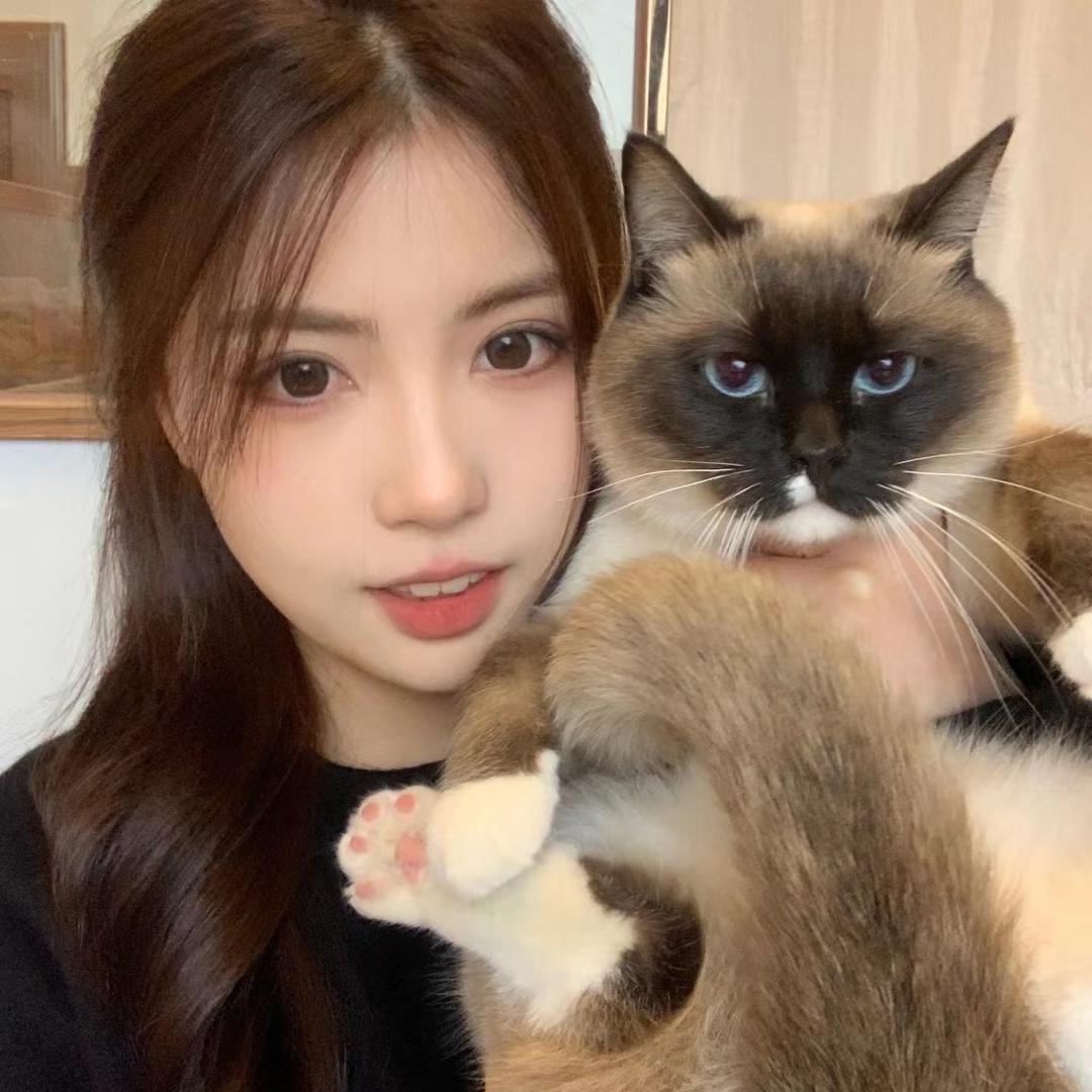 妮崽很忙🐱