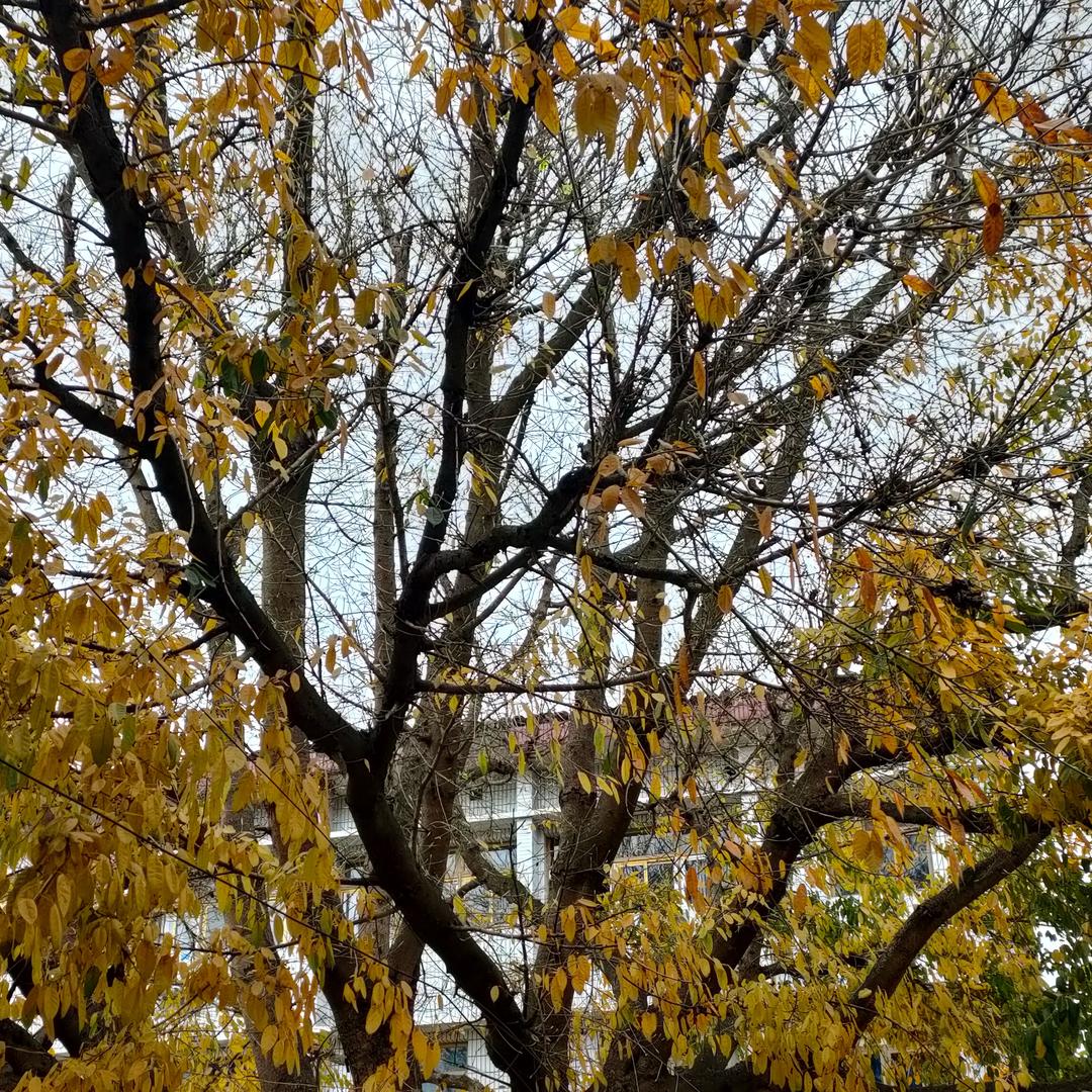 川J孤独的钓鱼人