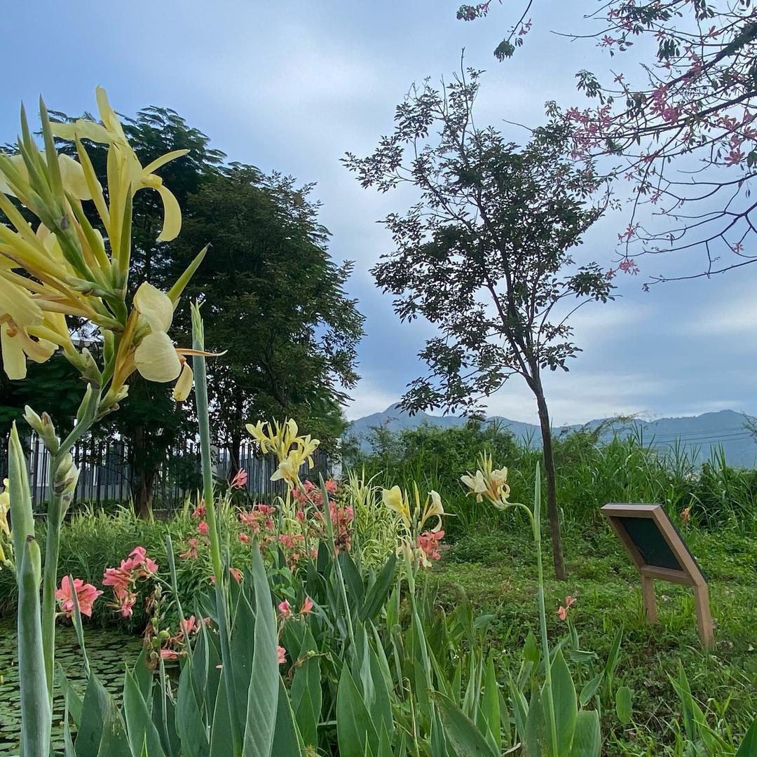 普宁 手艺人 阿贤