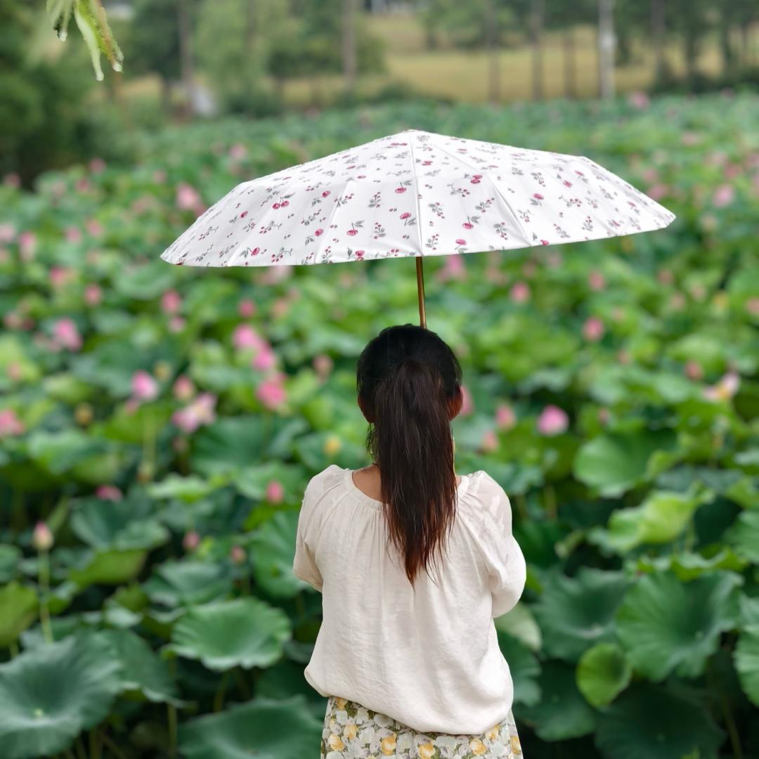 ❤️随心❤️