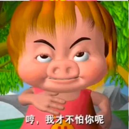 猪叻叻·阿克曼🌙