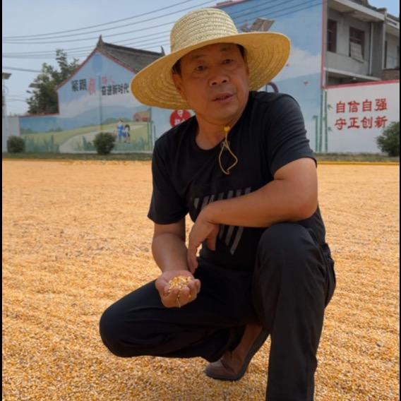 北八一村书记—王升团