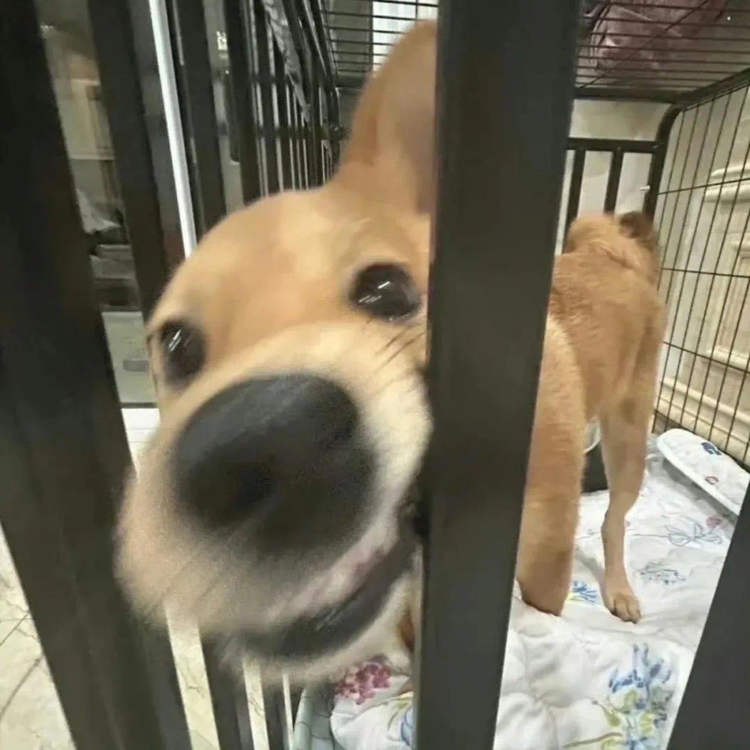 今天又帅了不少