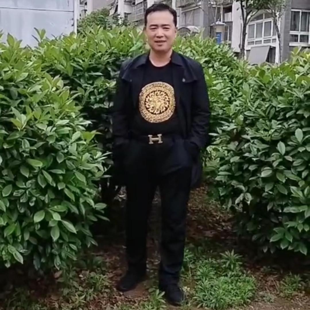 会飞的羊