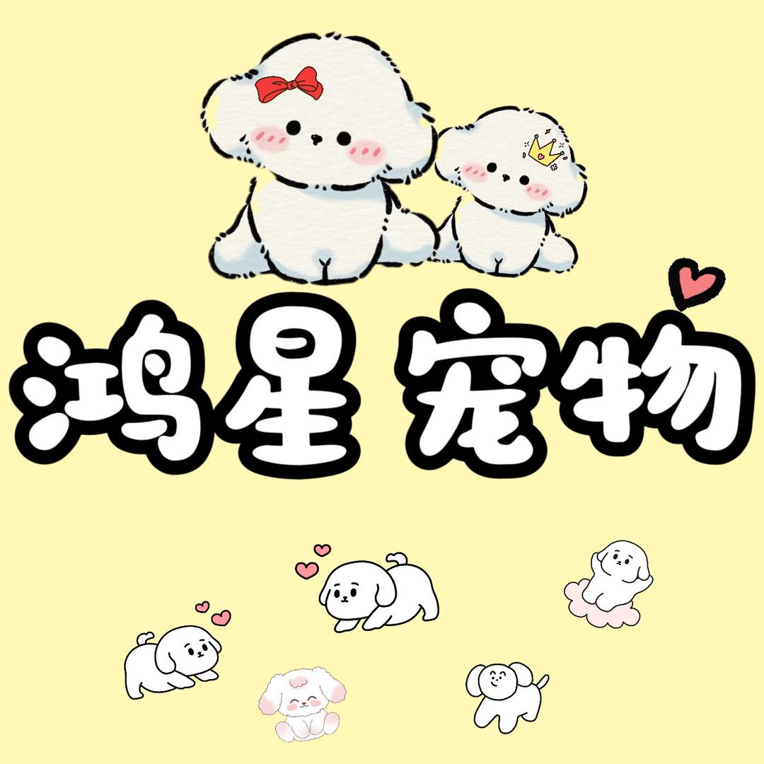 鸿星奢宠#韩系比熊