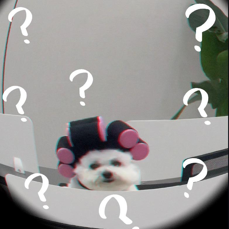 奥莉和跟班小葵🌻