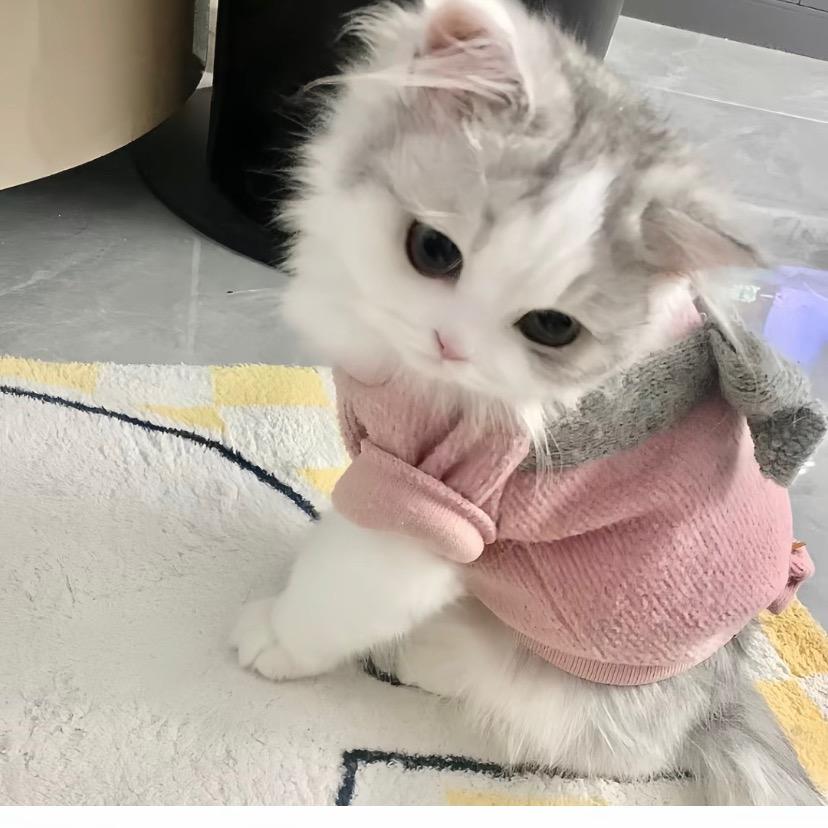 草莓冰淇淋