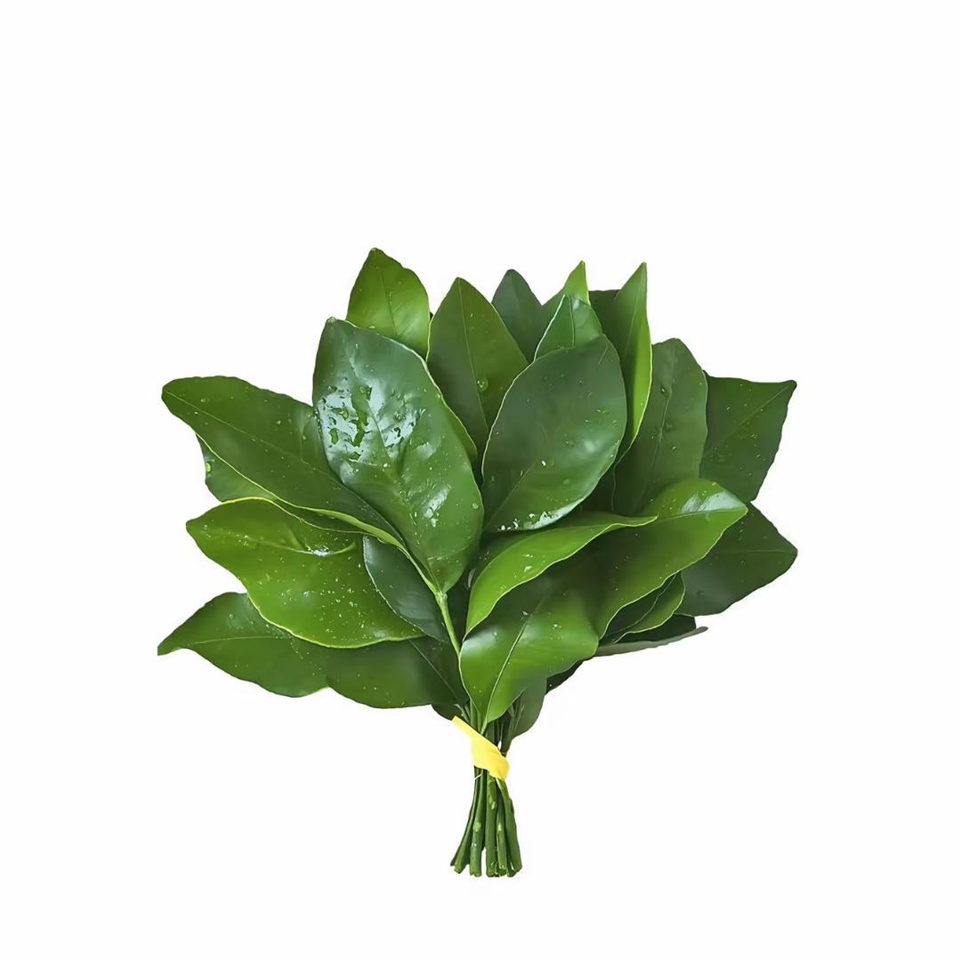 卡戴珊、