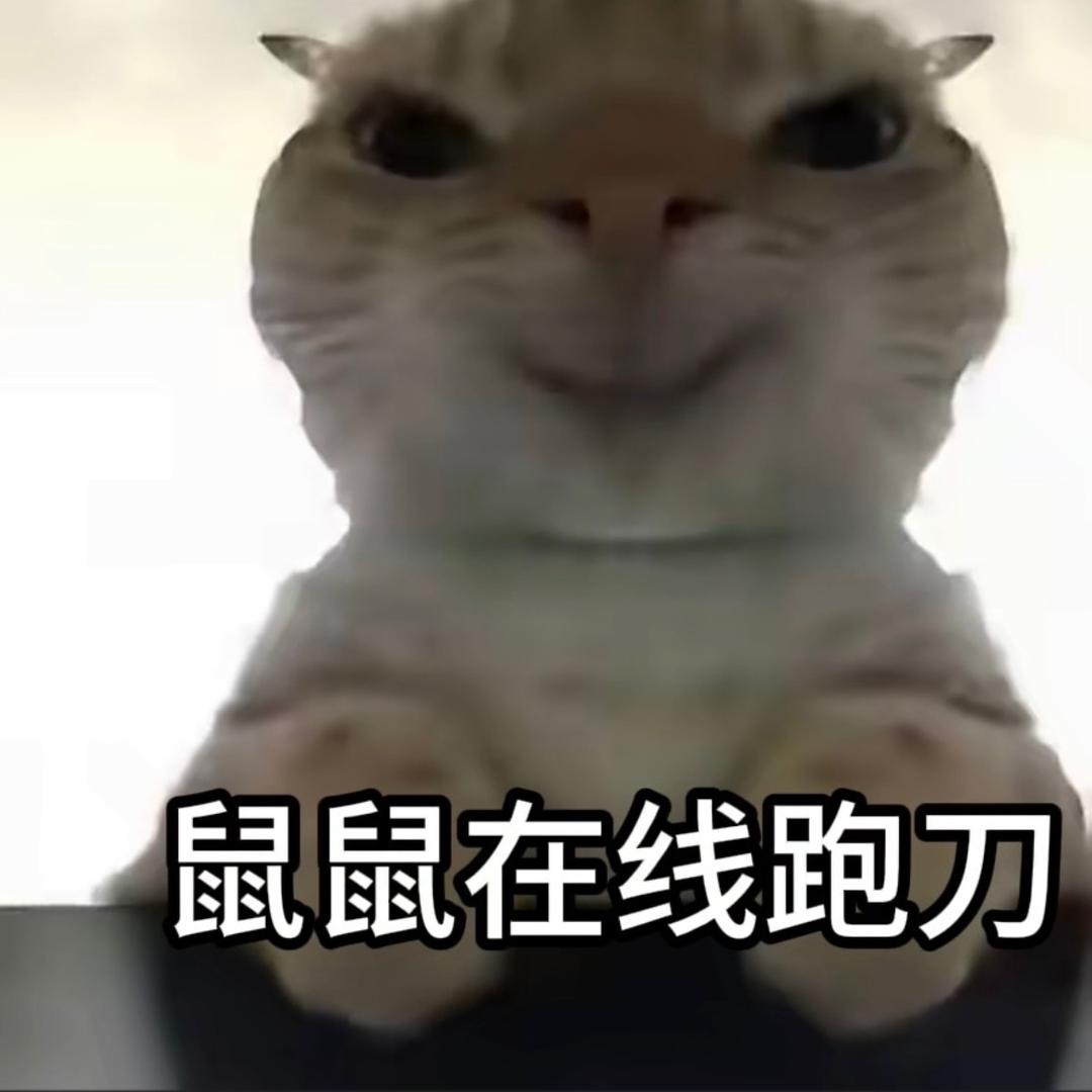 跑刀🐭（三角洲）